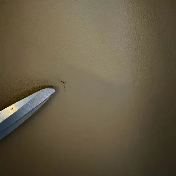 NWT DANA BUCHMAN Beige Taupe 100% Lambskin Classic Pencil Skirt Women’s Size 12 - Picture 7 of 16